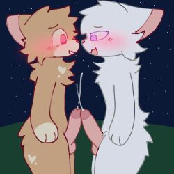 anthro blush bodily_fluids cum cumshot digital_media_(artwork) duo ejaculation erection femboy field frottage frotting furry genital_fluids genitals grinding happy happy_sex hi_res kemono male male/male night orgasm outside outside_sex penile penis penises_touching public public_sex semi_public sex simultaneous_orgasms smile solark1tty