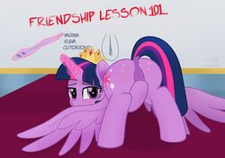 2017 alicorn animal_genitalia animal_pussy anus ass bedroom_eyes crown cutie_mark dock english_text equine equine_pussy feathered_wings feathers female feral friendship_is_magic hair half-closed_eyes hi_res horn inside looking_at_viewer looking_back magic mammal multicolored_hair my_little_pony my_little_pony:_the_movie_(2017) presenting purple_eyes purple_feathers purple_hair pussy seductive shutterflyeqd solo text twilight_sparkle_(mlp) wings