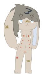 amputee anthro band-aid bandage dot_(piebunny) female lagomorph mammal multi_nipple nipples piebunny pussy rabbit scratch