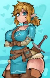 link from breath of the wild by saiykik