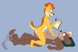 2026 age_difference anthro biped black_eyes black_nose blonde_hair blue_eyes blush blush_lines bodily_fluids brainsister chipmunk clenched_teeth clipboard constricted_pupils cowgirl_position duo english_text erection eyebrows from_front_position fur genitals gerbil glans grey_body grey_fur ground_squirrel hair hi_res holding_clipboard holding_object hot_dogging humanoid_genitalia humanoid_penis interspecies lying male male/male mammal multicolored_body multicolored_fur murid nude older_male on_back on_bottom on_top open_mouth penis plantigrade pupils red_hair rodent sciurid sex short_hair simple_background small_pupils squirrel sweat tail tail_motion tail_tuft tailwag tan_body tan_fur teeth text tongue tuft yellow_body yellow_fur younger_male