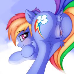 2017 anus blush clitoral_winking clitoris cloud cutie_mark dock equine female feral friendship_is_magic hair horse looking_at_viewer looking_back mammal multicolored_hair my_little_pony outside pony presenting presenting_pussy pussy pussy_juice rainbow_dash_(mlp) rainbow_hair sky solo twiren