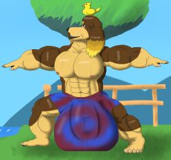 alythewolfcat animal_crossing anthro big_bulge big_pecs bird_on_head bulge clothing detailed_bulge genital_outline harvey_(animal_crossing) hi_res huge_bulge hyper hyper_bulge male muscular muscular_male nintendo pecs penis_outline seaside solo solo_male swimming_trunks swimwear tie-dye yoga