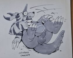 animal_skin anthro anus balls bandai_namco belly blush chikiota claws digimon digimon_(species) embarrassed falling fur gabumon genitals horn male penis scalie slightly_chubby solo striped_body striped_fur stripes tripping