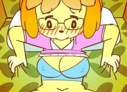 1boy 1girls 2017 animal_crossing animated anthro balls bed black_eyes black_nose black_penis blonde_hair blush bottomless bouncing_breasts bra bra_lift breasts canid canine canis clenched_teeth clitoris close-up clothed clothing clothing_lift cute dark_skin domestic_dog duo erection eye_contact eyewear female female_penetrated first_person_view fur furry glasses hair hair_ornament hi_res human human_on_anthro interspecies isabelle_(animal_crossing) long_ears longer_than_30_seconds low_res lying male male/female male_penetrating male_penetrating_female mammal minus8 missionary_position navel nintendo on_back on_bed penetration penis pillow pov pussy pussy_juice pussy_pounding raised_shirt sex shirt shirt_lift short_hair short_playtime sloppy source_request spread_legs spreading straight tagme teenager testicles tied_hair underwear vaginal_penetration video video_games wet yellow_fur