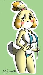 2016 animal_crossing anthro bikini breasts cleavage female furry isabelle_(animal_crossing) nintendo solo timmy22222001 xxtheoneguyxx