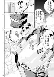 2019 anthro balls belly blush bodily_fluids censored closed_eyes comic duo flaccid giant_panda hi_res human japanese_text male male_only mammal moobs nipples penis sigenoya sweat takotyutyu text ursid