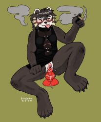2025 4_toes 5_fingers anthro badger birdpaw_(artist) black_clothing black_eyes black_nose black_shirt black_tank_top black_topwear blep blonde_hair blonde_highlights blush bodily_fluids bottomless bottomless_anthro bottomless_cuntboy bottomless_intersex brown_body brown_claws brown_fur brown_hair brown_inner_ear cigarette claws clothed clothing coontail_hair cuntboy cuntboy_anthro digital_drawing_(artwork) digital_media_(artwork) dildo dildo_in_vagina dildo_insertion eyewear facial_piercing fangs feet fingers full-length_portrait fur genital_fluids genitals glasses glistening glistening_hair green_background hair hi_res highlights_(coloring) hindpaw holding_cigarette holding_object intersex intersex_anthro knot knotted_dildo mammal mastectomy_scar mouth_closed multicolored_hair mustelid musteline nose_piercing nose_ring partially_clothed_anthro partially_clothed_cuntboy paws penetration piercing pink_scar pink_tongue pink_vulva portrait pussy rectangular_glasses red_dildo ring_piercing scar sex_toy sex_toy_in_vagina sex_toy_insertion shirt short_hair simple_background smile smoke tank_top teeth toe_claws toes tongue tongue_out topwear trans_(lore) trans_man_(lore) two_tone_hair vaginal_fluids vaginal_fluids_on_dildo vaginal_penetration vulva