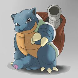 1boy blastoise blue_skin looking_at_viewer male male_only nintendo penis pokemon reptile scalie solo sweat turtle video_games