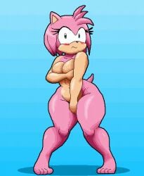 amy_rose animated chunkiroll covering_breasts covering_crotch female furry nude_female sega sonic_(series)