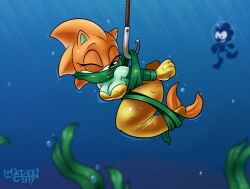 1boy 1girls 2017 4_fingers adventures_of_sonic_the_hedgehog biped black_nose bondage bound breasts bubble cleavage closed_eyes clothed clothing dic_entertainment digital_media_(artwork) duo eulipotyphlan european_hedgehog female fin fingers fish_tail fishing gag gagged glistening hedgehog hybrid imadeej legless male mammal marine merfolk merhog mermaid_tail merna_the_merhog motion_lines seaweed sega silhouette smile sonic_(series) sonic_the_hedgehog sonic_the_hedgehog_(series) split_form struggling tail tail_fin underwater water