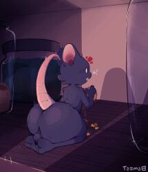 2024 anthro arched_back ass backsack balls big_butt caught cheese container dairy_products detailed_background dialogue emanata empty_eyes english_text food genitals glass hi_res holding_cheese huge_butt inside jar kneeling light lighting male male_anthro mammal micro mouse murid murine nude pink_nose plantigrade raised_tail rear_view rodent shadow shelf solo surprised tail tasma text white_eyes wood