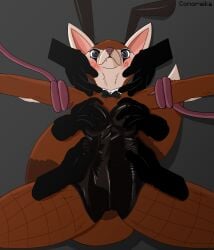 1girls blue_eyes bow_tie breasts bunny_ears bunny_suit conoreika dota dota2girls dota_2 ears_back female furry furry_ears furry_female furry_only furry_tail hand_on_breast hand_on_hip hands_on_head hoodwink_(dota) squirrel squirrel_ears squirrel_girl squirrel_humanoid squirrel_tail suprised suprised_look tail tentacle valve valve_(company)