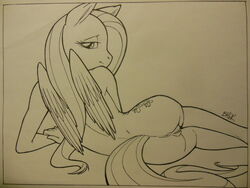fluttershy (mlp) from friendship is magic by bhawk
