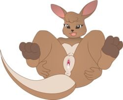 2017 after_sex anthro anthrofied anus ass breasts clitoral_hood clitoris creampie cum cum_in_pussy cum_inside digital_media_(artwork) female female_only fur furry infamousrel kangaroo mammal marsupial matilda_(adventures_in_bushtown) nude open_mouth plump_labia pokeandpenetrate presenting presenting_pussy pussy skippy:_adventures_in_bushtown soles solo spread_legs spreading vaginal_penetration