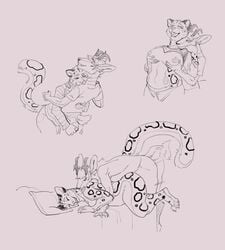 2017 anthro breasts clothed clothing duo feline female fur furry fuzzamorous hair interspecies leopard male mammal monochrome nipples nude open_mouth penetration predator/prey pronghorn scar sex simple_background sketch smile snow_leopard spots straight white_background