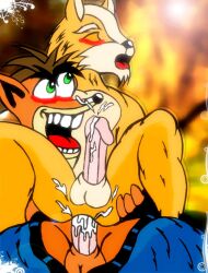 crash bandicoot from crash (series) by ronaldf