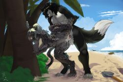 abs absurd_res anahi_viron anthro balls beach big_breasts black_body black_fur boat bodily_fluids breasts canid canine claws cum cum_in_vagina cum_inside cumshot digital_media_(artwork) duo ejaculation erection feet felid female female_penetrated fluffy fluffy_tail fox fur genital_fluids genitals grey_body grey_fur hair hi_res hole_(pit) lazaxus leaning leaning_on_object leaning_sideways leopard long_hair looking_pleasured male male/female male_penetrating male_penetrating_female mammal markings muscular muscular_anthro muscular_female muscular_male musk musk_cloud nude nude_anthro nude_female nude_male open_mouth orgasm outside pantherine pawpads paws penetration penile penile_penetration penis penis_in_vagina pirate plant platinum_hair ponytail pressing_against raised_leg saliva sand seaside sex ship shovel sky spots spotted_body spotted_fur tail taynan_nunes teeth thick_thighs tongue tongue_out tools tree vaginal_penetration vehicle vulva water watercraft white_body white_fur