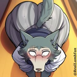 legoshi (beastars) from beastars by reallambfan