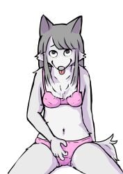 2025 anthro canid canine canis clothed clothing female fur furry grey_body hi_res mammal masturbation panties simple_background solo stic1 tongue tongue_out underwear wolf