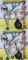 absurd_res belly big_belly big_breasts black_hair black_stripes blue_eyes blurred_background bodily_fluids breasts closed_eyes crotch_breasts cum cum_inside duo equid equine female female_penetrated feral feral_penetrated from_behind_position genital_fluids grin hair hi_res huge_breasts human human_on_feral human_penetrating human_penetrating_feral inflation inflation interspecies male male/female male_penetrating male_penetrating_female mammal nude obscured_penetration open_mouth open_smile outside penetration red_tongue romman08 sex short_hair side_view smile striped_back striped_legs stripes tongue tongue_out white_body zebra zoophilia