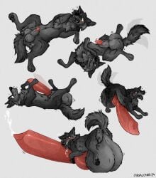 2024 animal_genitalia animal_penis anus backsack balls balls_expansion big_balls big_penis blush bodily_fluids breath canid canine canine_genitalia canine_penis canis carnalcanid domestic_dog drooling ejaculation erection expansion feral genital_expansion genital_fluids genital_growth genitals growth hands-free hi_res huge_balls huge_cock hyper hyper_balls hyper_genitalia hyper_penis knot knotted_penis lying male mammal nude on_back panting penis penis_expansion penis_growth precum precum_squirt raised_tail saliva solo tail tongue tongue_out