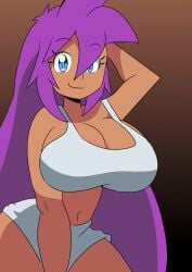artistosoft belly_button big_breasts blue_eyes bra digital_media_(artwork) female female_only half_genie long_hair looking_at_viewer purple_hair shantae shantae_(character) solo solo_female tagme tan_skin