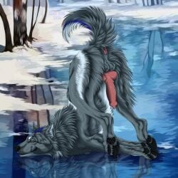 1:1 2024 anus artist_name ass_up balls black_pawpads canid canine cheek_tuft closed_smile dated erection facial_tuft feral fur genitals green_eyes grey_balls grey_body grey_fur hi_res ice knot leg_tuft lying male mammal mouth_closed msdeadsoul neck_tuft on_front outside pawpads penis plant red_anus red_penis reflection side_view smile snow solo text tree tuft