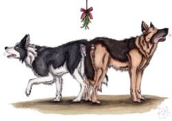 anal anal_knotting anal_sex anatomically_correct anatomically_correct_genitalia anatomically_correct_penis animal_genitalia animal_penis ass_to_ass balls black_body black_fur blue_eyes border_collie brown_body brown_fur canid canine canine_genitalia canine_penis canine_turn canis closed_eyes collie domestic_dog duo erection feral feral_on_feral feral_penetrated feral_penetrating feral_penetrating_feral fur genitals german_shepherd herding_dog intraspecies knot knot_root knotted_penis knotting kola_(artist) male male/male male_penetrated male_penetrating male_penetrating_male mammal mutual_knotting mutual_penetration open_mouth orange_body orange_fur pastoral_dog penetration penile penile_penetration penis penis_in_ass red_tongue sex sheepdog side_view simple_background tongue traditional_media_(artwork) white_background white_body white_fur