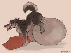 2025 animal_genitalia animal_penis ass_up balls big_balls big_penis blush breath canid canine canine_genitalia canine_penis canis carnalcanid domestic_dog ears_back erection feral genitals hi_res huge_balls huge_cock hyper hyper_balls hyper_genitalia hyper_penis male mammal nude panting penis pivoted_ears side_view solo tongue tongue_out