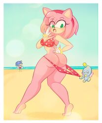 1girls amy_rose ass bikini breasts chao_(sonic) coppertone female limbros sonic_(series) sonic_speed_simulator sonic_the_hedgehog tagme