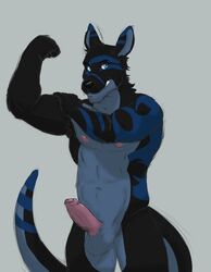 2017 abs anthro balls battle_peanut biceps biped black_fur black_nose black_tail blue_eyes blue_fur blue_tail carpemortem_(artist) digital_media_(artwork) erection eyebrows flexing front_view fur grey_background grey_balls grey_fur grey_tail hi_res humanoid_penis kangaroo long_tail looking_at_viewer male male_only mammal marsupial multicolored_fur multicolored_tail muscular muscular_male navel nipples nude pecs penis pink_nipples portrait simple_background snout solo standing three-quarter_portrait uncut