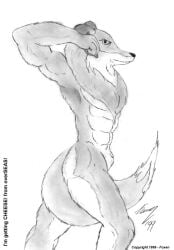 abs angry animal_genitalia anthro biped border_collie canid canine canis chest_floof collie domestic_dog foxen fully_sheathed genitals herding_dog male mammal monochrome muscular muscular_male pastoral_dog raised_arm sheath sheepdog solo tail tail_between_legs