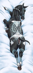 chevalierdeon dakimakura_design equine feral genitals horse mammal nude