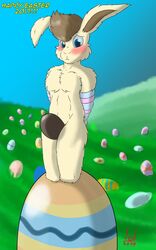 2017 anthro armbinder blush bondage bound candy chastity chocolate digital_media_(artwork) easter egg food fur hair happy herseio hill holidays invalid_tag lagomorph male male_chastity mammal nude rabbit simple_background solo submissive_male white_fur