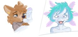 amphibian anthro axolotl balls balls_suck canid canine canis copycat-cc duo kay_(copycat-cc) male male/male mammal mole_salamander oral rifley_(copycat-cc) salamander_(amphibian) sex sucking wolf