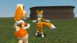 1boy 1girls anthro big_ass big_breasts cream_the_rabbit flirting_look garry's_mod lifting_dress miles_prower miles_tails_prower no_panties outside sonic_(series) sonic_the_hedgehog_(series) straight surprised tails_the_fox thick_thighs