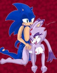 anthro blaze_the_cat bodily_fluids breasts chinry doggy_style domestic_cat drooling duo eulipotyphlan fangs felid feline felis female from_behind_position genitals hand_on_butt hedgehog hero hi_res humanoid male male/female mammal meow motion_lines nude on_kness pawpads penis princess rear_view royalty saliva sega sex small_breasts smile sonic_(series) sonic_the_hedgehog sonic_the_hedgehog_(series) teeth