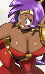 1girls dark-skinned_female female half-genie large_breasts metalsplinter purple_hair shantae shantae_(character) tagme