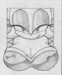 rouge the bat from sega by bhawk