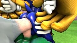 3d anal asmartboy balls blue_fur double_anal furry hedgehog jet_the_hawk male_only mammal penis sonic_(series) sonic_the_hedgehog storm_the_albatross