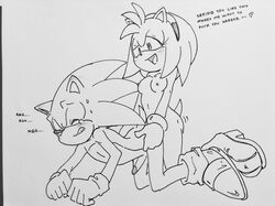 amy rose from sonic (series) by randomguy999