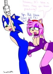 amy_rose anal anal_fingering asmartboy balls blue_fur bound femdom furry handjob hedgehog malesub mammal penis prostate_stimulation sonic_(series) sonic_the_hedgehog tied_hands