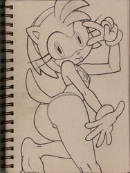 amy rose from sega by bhawk