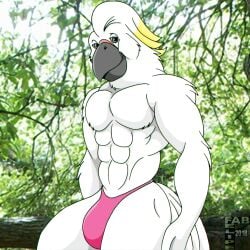 1:1 2018 abs anthro avian beak bird black_beak bulge closed_smile clothed clothing cockatoo digital_media_(artwork) fabfelipe feather_tuft feathers featureless_chest hi_res looking_at_viewer male mouth_closed muscular muscular_anthro muscular_male parrot pink_clothing pink_thong pink_underwear pinup pose smile solo tail tail_feathers thong thong_only topless topless_anthro topless_male tuft underwear underwear_only white_body white_feathers yellow_body yellow_feathers