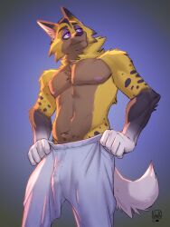 animal_crossing anthro body_hair bottomwear bulge canid canine canis chest_tuft clothing detailed_bulge fluffy fluffy_tail fur genital_outline happy_trail hi_res kyle_(animal_crossing) lion21 looking_aside male mammal multicolored_body multicolored_fur navel neck_tuft nintendo nipples pants pants_only pecs penis_outline solo spots sweatpants tail tuft wolf