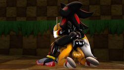 3d anal anus asmartboy ass balls bound gay leash penis shadow_the_hedgehog sonic_(series) tails