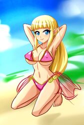 bikini female nintendo princess_zelda sigurdhosenfeld skyward_sword solo the_legend_of_zelda zelda_(skyward_sword)