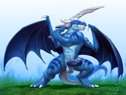 2017 animal_genitalia anthro dragon erection field full_length grass holding_object holding_weapon male male_only melee_weapon membranous_wings penis rollwulf scalie simple_background solo standing swinging sword tabra training weapon wings