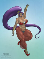 abs breasts cleavage female large_breasts long_hair long_ponytail moxydoxy muscles muscular_female pointy_ears ponytail purple_hair shantae shantae_(character) smooth_skin solo